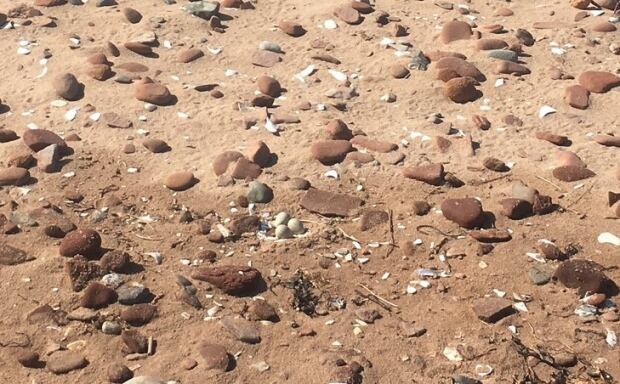 wet sand
