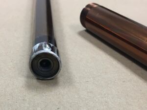 Cane gun