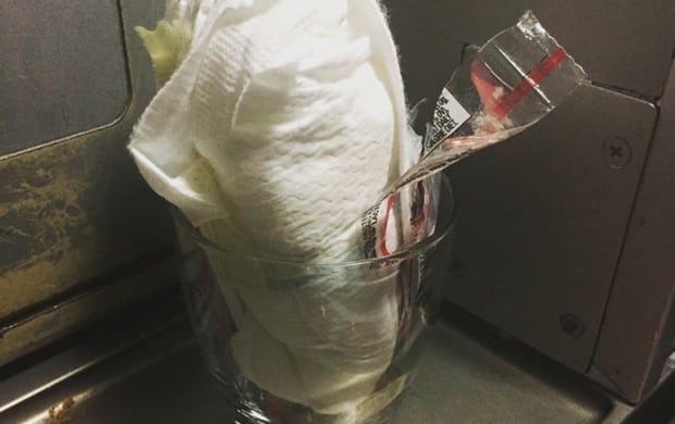 PassengerShaming diaper glass
