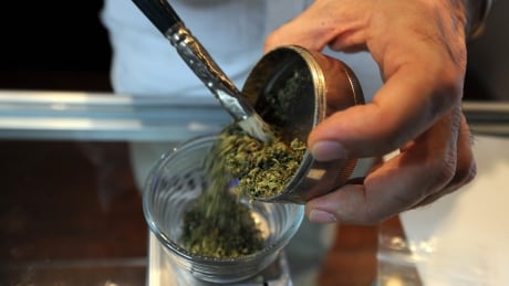 A pharmacist at a medical marijuana shop in Los Angeles, California, works on his products on March 24, 2010. There are hundreds of medical marijuana shops operating across the city, and a new ordinance from City Hall caps that number at 70, but grants a reprieve to the 187 medical marijuana dispensaries whose operators registered with the city prior to a moratorium. The ordinance requires that dispensaries be at least 1,000 feet away from schools, public parks, public libraries, religious institutions and other so-called ``sensitive use'' sites. AFP PHOTO / GABRIEL BOUYS (Photo credit should read GABRIEL BOUYS/AFP/Getty Images) Medical marijuana