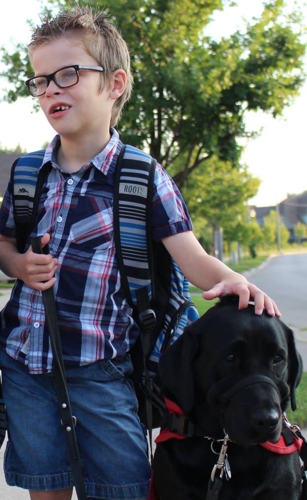 Ontario Human Rights Act Service Dogs Ontario Human Rights Act Service Dogs