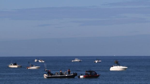 Salmon enforcement