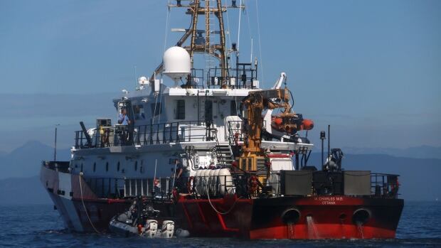 salmon enforcement