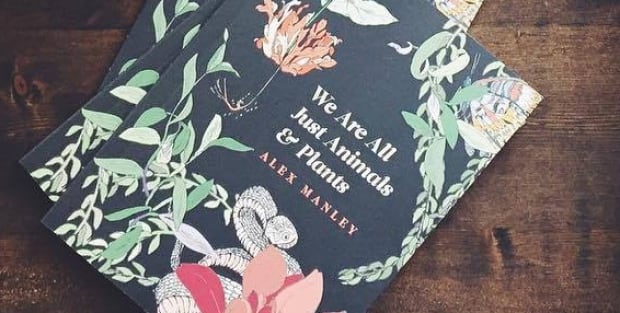 animals and animals
