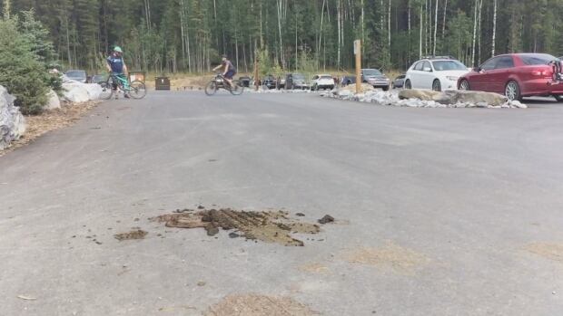 West Bragg Creek poo