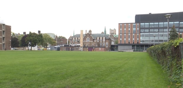 Concordia field