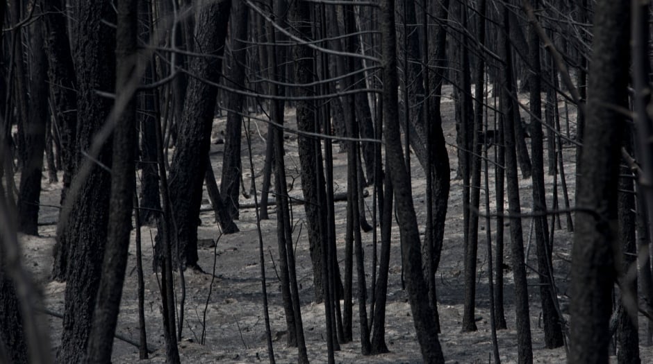 B.C. Wildfires July 2017 Burned Out Soda Creek