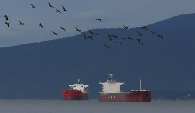 CANADA-PIPELINE/TRANSMOUNTAIN
