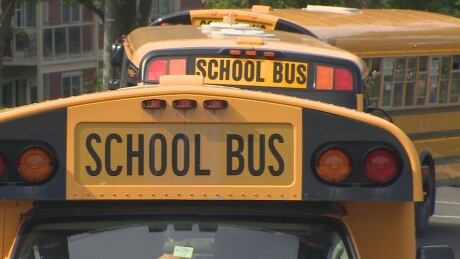 School buses generic St. John's