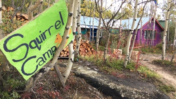 'Squirrel camp', also known as the Kluane Red Squirrel Project, has been hosting researchers for more than 30 years. It's a partnership between five universities.