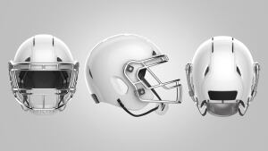 Vicis1