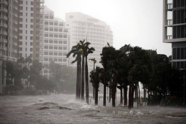 STORM-IRMA/