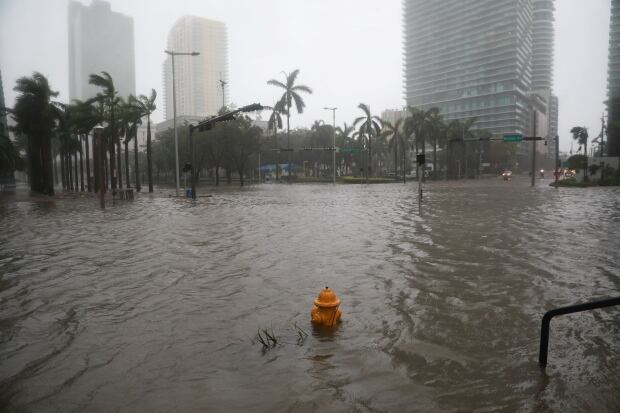 STORM-IRMA/