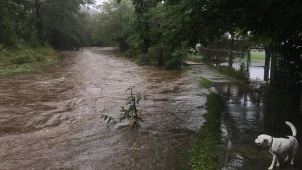 Flooding