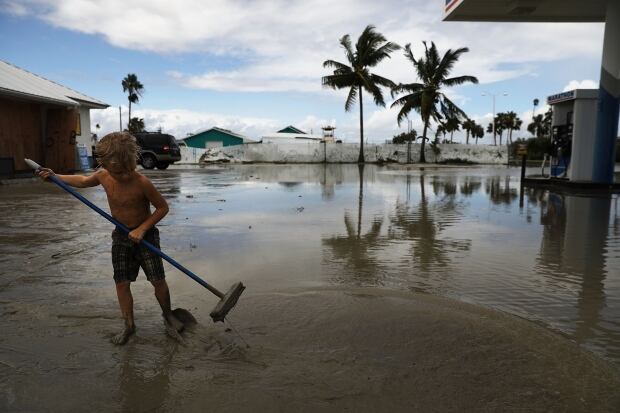 Florida cleanup
