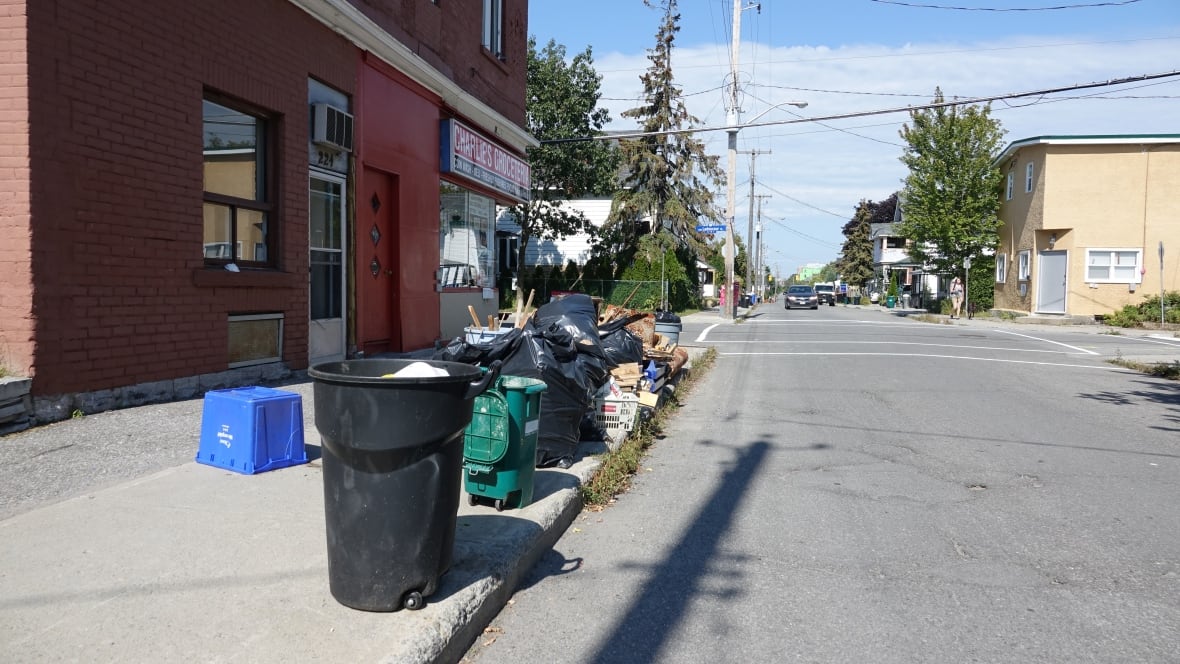 Ottawa lagging on waste diversion, group says Ottawa CBC News