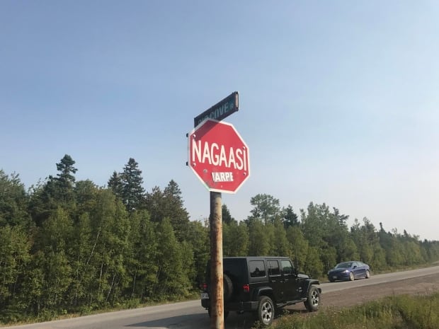 Elsipogtog