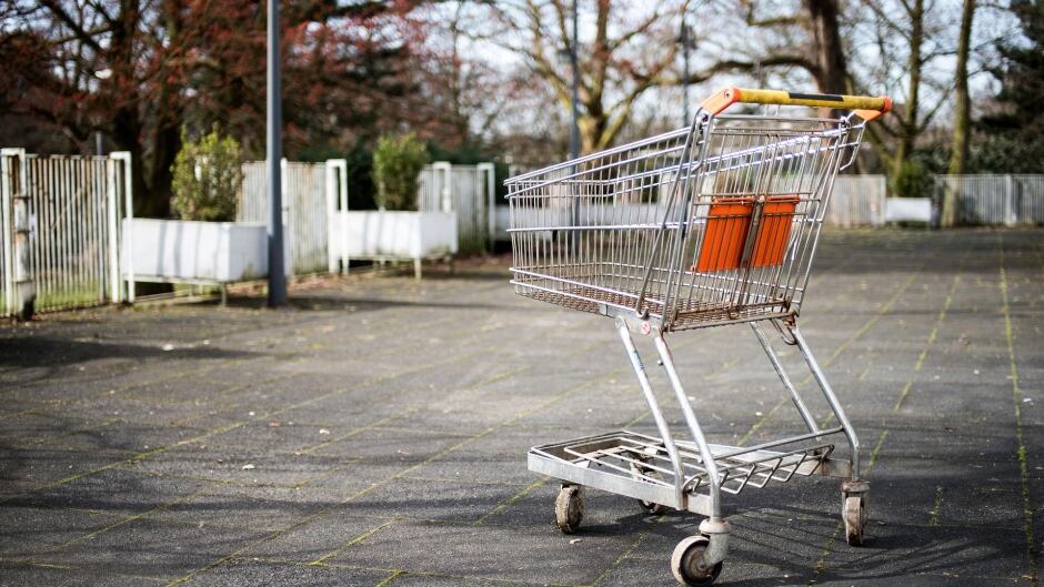 The grocery story can be a difficult place for Kristie Mcallister’s sons. She’s had to abandon a few grocery carts.