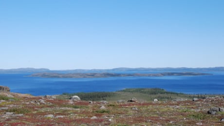 This is a view of the Mistastin Lake crater from Discovery Peak, where the strange rock was found. The island in the centre is formed from the ground rebounding during the meteor impact. Mistastin Lake crater