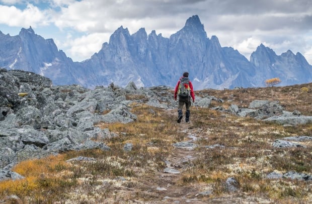 Tombstone Territorial Park