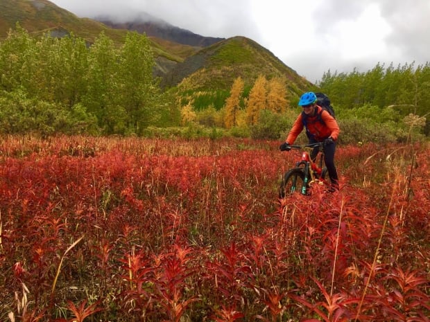 Kluane Park