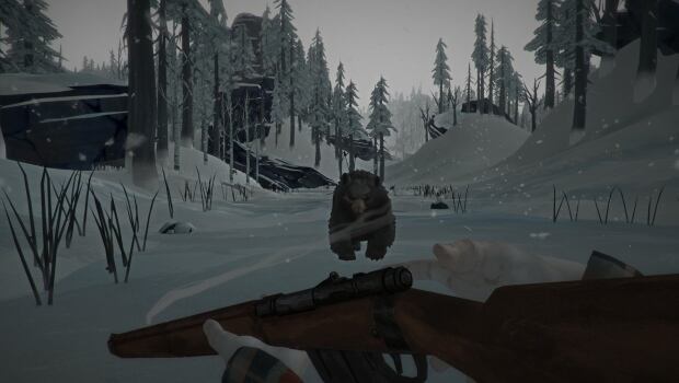 The Long Dark Bear