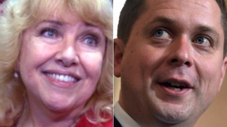 Lynn Beyak Snipes At Andrew Scheer But Shes The Senates Problem Now Cbc News 