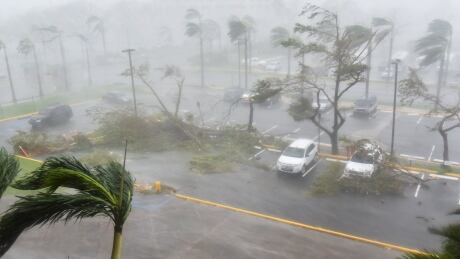 Trees are toppled in a parking lot at Roberto Clemente Coliseum in San Juan, Puerto Rico, on September 20, 2017, during the passage of the Hurricane Maria.
Maria made landfall on Puerto Rico on Wednesday, pummeling the US territory after already killing at least two people on its passage through the Caribbean. The US National Hurricane Center warned of "large and destructive waves" as Maria came ashore near Yabucoa on the southeast coast. AFP_SL5K4