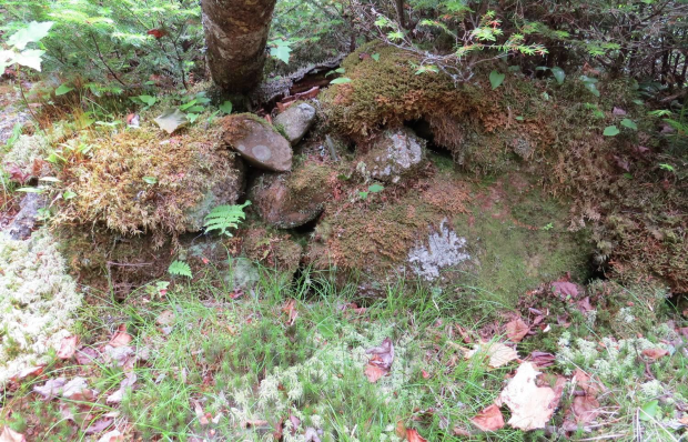 Foundation of a