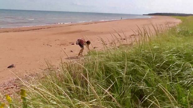 Karen Tuplin on the beach