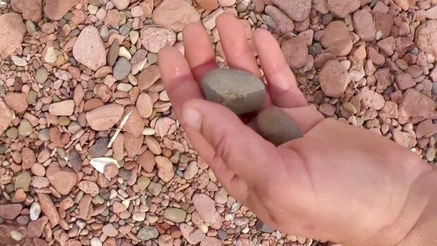 Karen Tuplin holds some of the stones she finds on the beach