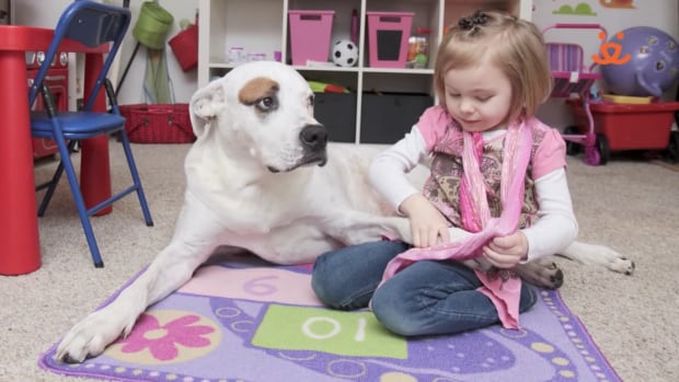 Best Friends Animal Society