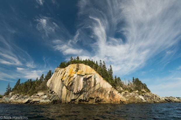 100 wild islands nature trust