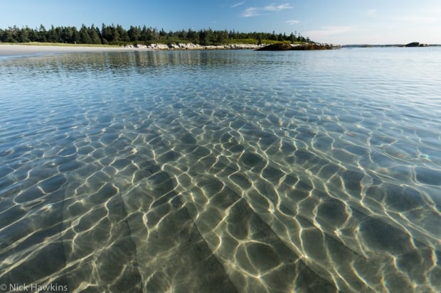 100 wild islands nature trust