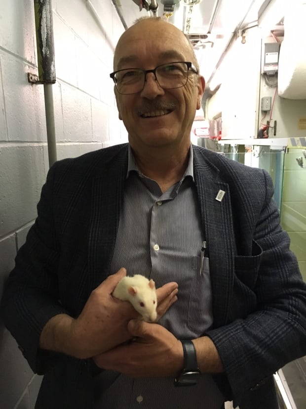 Dave Rogers-spca-moncton-rats
