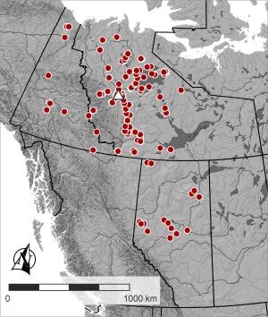 Clinker distribution map