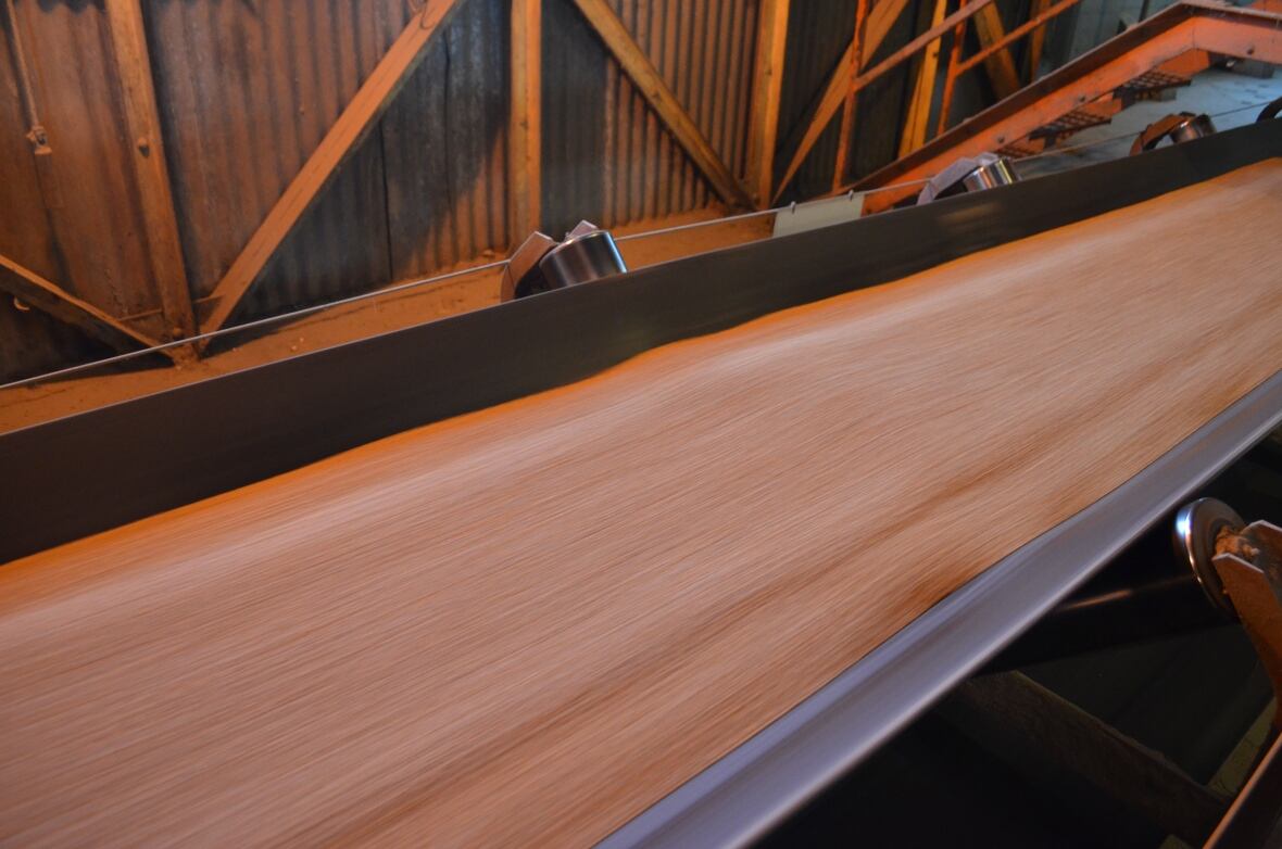 History on the harbour A look inside Thunder Bay's iconic grain