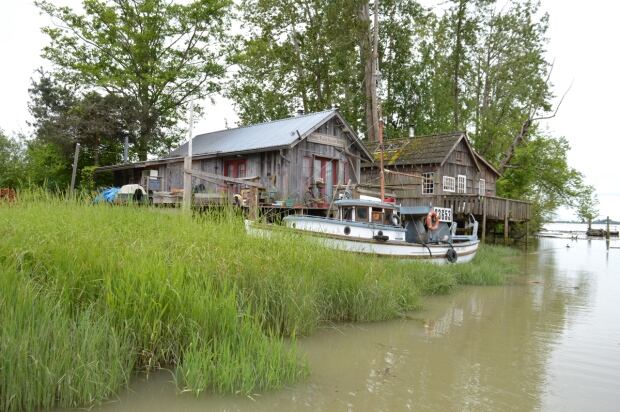 Homes hover over to the Fraser River in Finn Slough BC