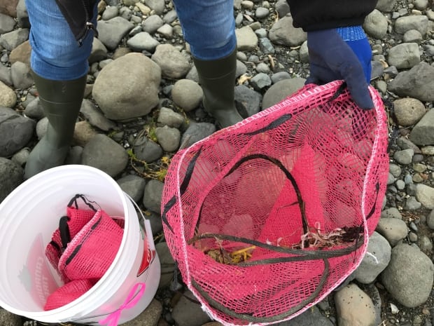 Marine debris