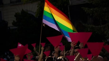 People hold up pink cardboard triangles and wave a rainbow flag during a gathering in support to the LGBT community in the Russian region of Chechnya, in Madrid, Tuesday, April 25, 2017. (AP Photo/Francisco Seco) Spain Russia Protest