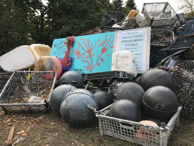 Denman Island beach cleanup