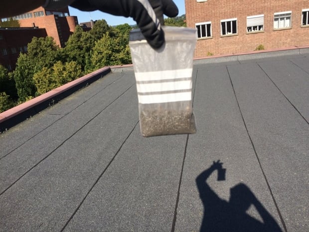 Sample from a roof in Norway