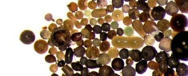 Micrometeorites (S-type, silicate spherules) from Antarctica