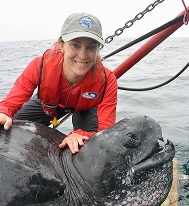 Kayla Hamelin Canadian Sea Turtle Network Assistant Director, Conservation & Education)
