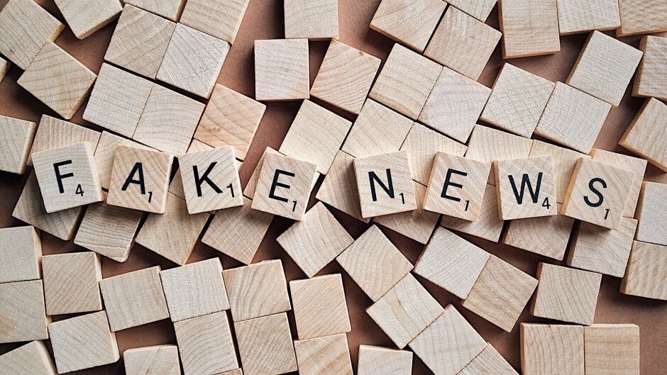 Caroline Jack's report is called "Lexicon of Lies: Terms for Problematic Information"