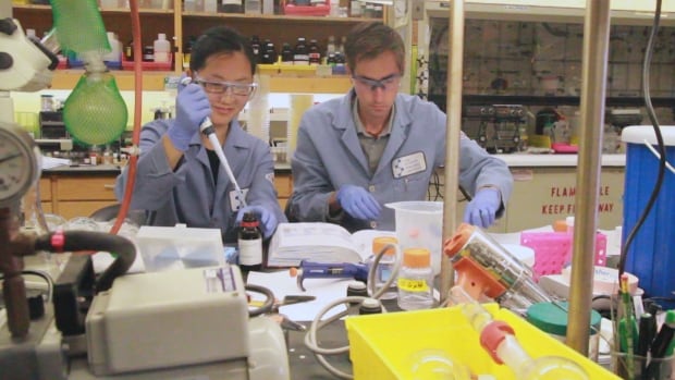 Researchers in La Jolla, California work on heroin vaccine