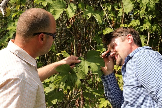 PEI hops researchers 2