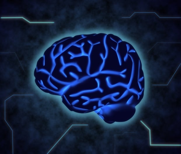 brain