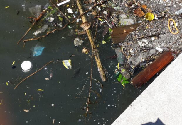 Bathurst Quay pollution