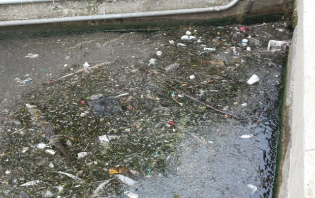 Bathurst Quay pollution